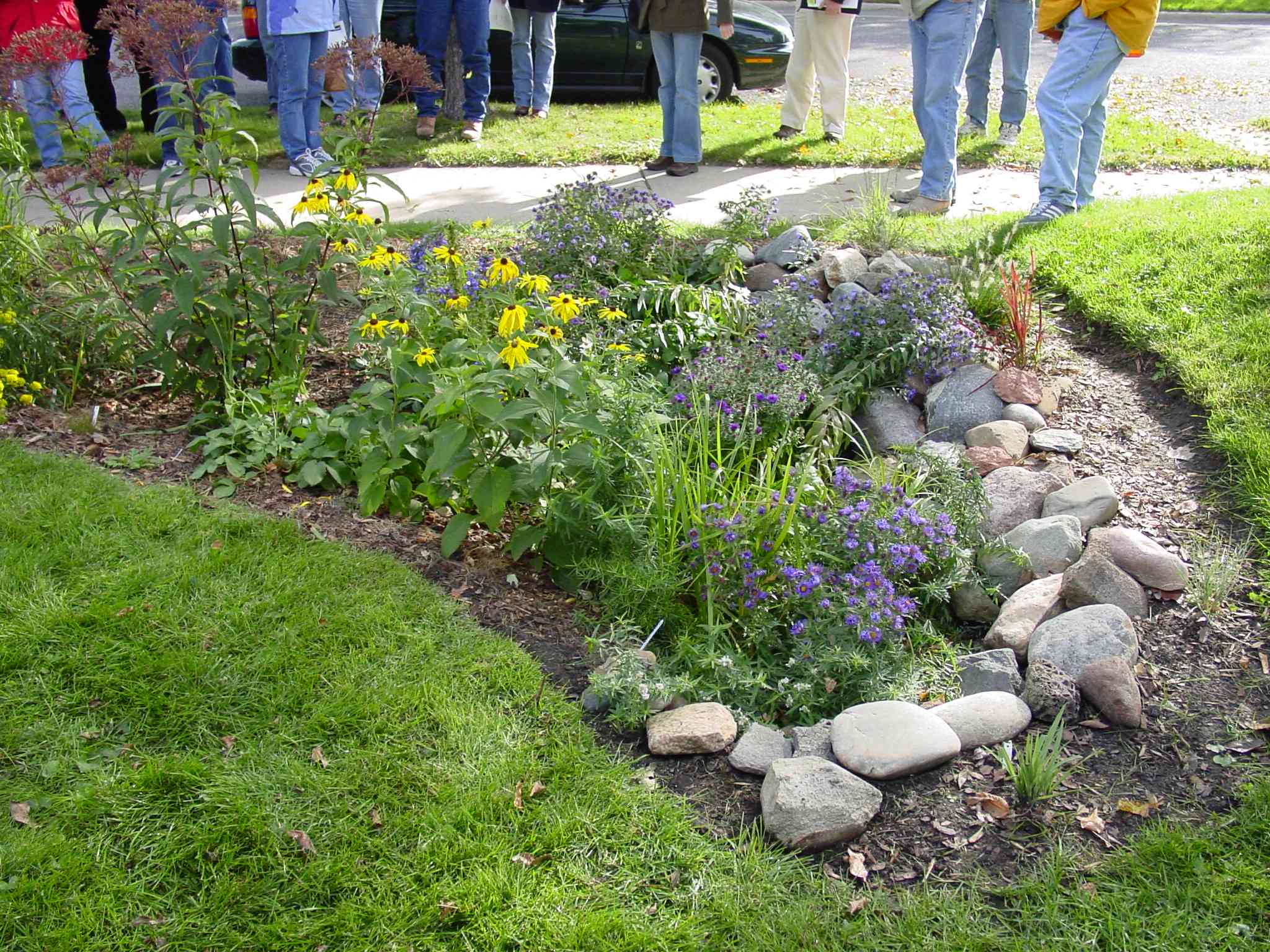 What is a rain garden? - Ecological Landscape Alliance