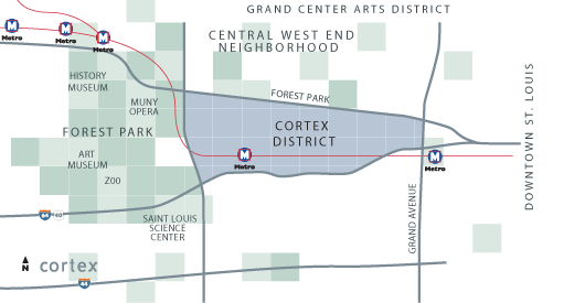 cortex_map2